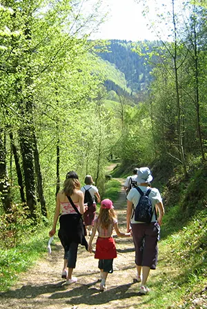 Activites de nature - explorer et se ressourcer